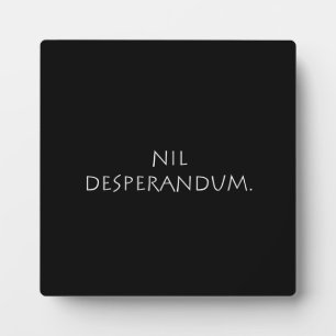 Nil Desperandum Fotoplatte