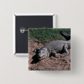 Nil-Krokodil Button (Vorne & Hinten)