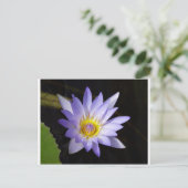 Nil-Lotus Postkarte (Stehend Vorderseite)