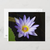 Nil-Lotus Postkarte (Vorne/Hinten)