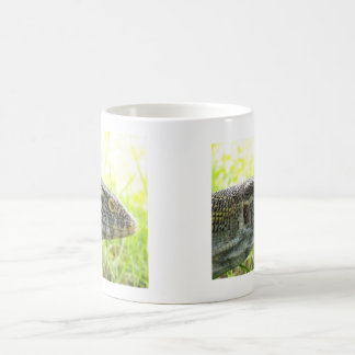 Nil-Monitor Kaffeetasse