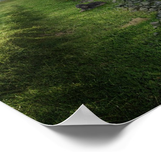 Nil novi subsole - Poster (Ecke)