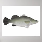 Nile Perch Poster (Vorne)