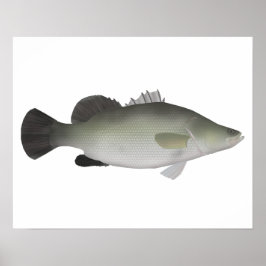 Nile Perch Poster