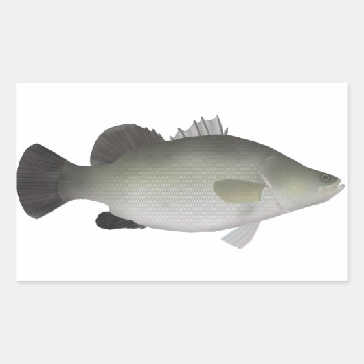 Nile Perch Rechteckiger Aufkleber (Vorderseite)
