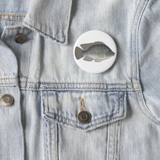 Nile Tilapia Button (Beispiel)