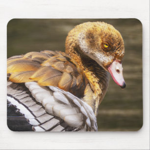 Nilgans Nahaufnahme Wildtier Vogel Natur Kunst Mousepad