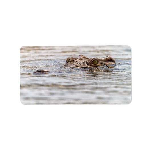 Nilkrokodil Adressaufkleber (Vorne)