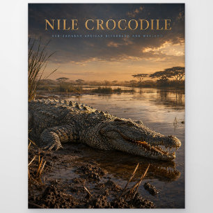 Nilkrokodil Afrikanischer Fluss TIERE Postkarte