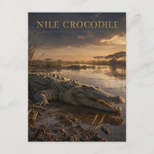Nilkrokodil Afrikanischer Fluss TIERE