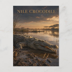 Nilkrokodil Afrikanischer Fluss TIERE Postkarte