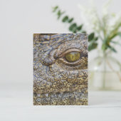 Nilkrokodil aus Afrika Postkarte (Stehend Vorderseite)