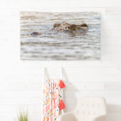 Nilkrokodil Banner (Insitu)