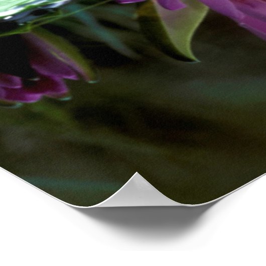 Nilkrokodil (Crocodylus Niloticus) Hatchling Poster (Ecke)