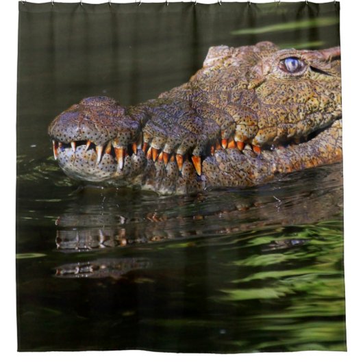 Nilkrokodil Duschvorhang (Vorderseite)