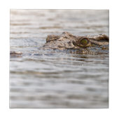 Nilkrokodil Fliese (Vorderseite)