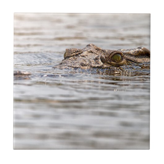 Nilkrokodil Fliese (Vorderseite)