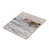 Nilkrokodil Fliese (Seite)