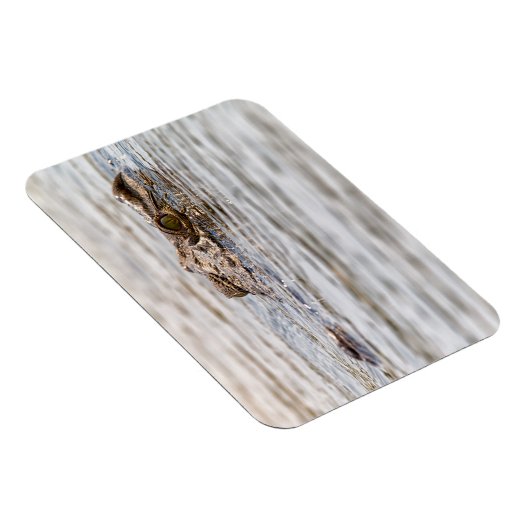 Nilkrokodil Magnet (Rechte Seite)