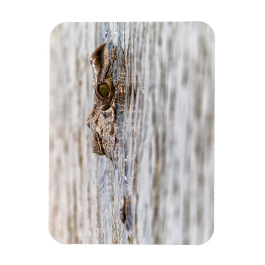 Nilkrokodil Magnet (Vertikal)