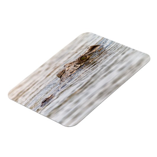 Nilkrokodil Magnet (Linke Seite)