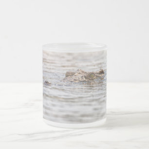 Nilkrokodil Mattglastasse