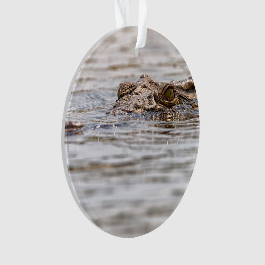 Nilkrokodil Ornament (Vorderseite)