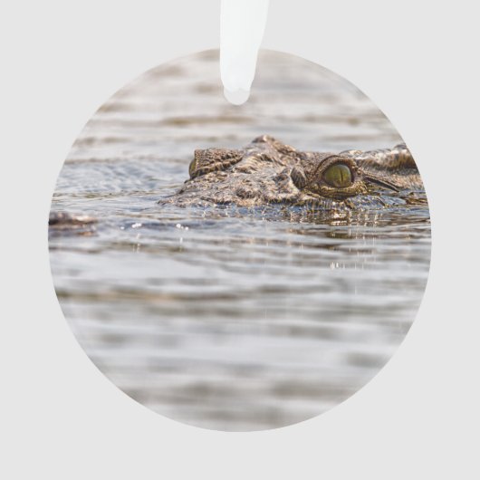 Nilkrokodil Ornament (Vorderseite)