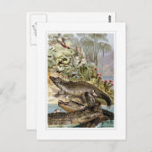 Nilkrokodil Postkarte (Vorne/Hinten)