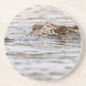 Nilkrokodil Sandstein Untersetzer (Vorne)