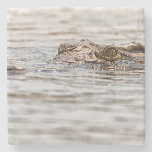 Nilkrokodil Steinuntersetzer (Vorderseite)