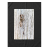 Nilkrokodil Tischdecke (Vorderseite)