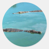 Nilkrokodile Runder Aufkleber (Vorderseite)