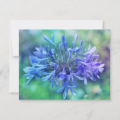 Nillilie Einladung (Rückseite)