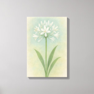 Nillilie Leinwanddruck