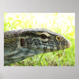 Nilmonitor Poster