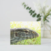 Nilmonitor Postkarte (Stehend Vorderseite)