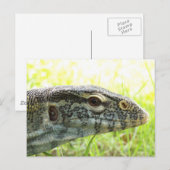 Nilmonitor Postkarte (Vorne/Hinten)