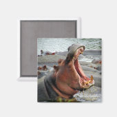 Nilpferd Magnet (Vorderseite/Rückseite)