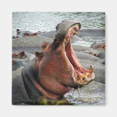 Nilpferd Magnet (Vorne)