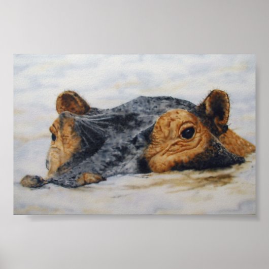 Nilpferd Poster (Vorne)