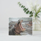 Nilpferd Postkarte (Stehend Vorderseite)