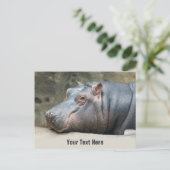 Nilpferd-Postkarte Postkarte (Stehend Vorderseite)