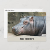 Nilpferd-Postkarte Postkarte (Vorne/Hinten)