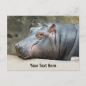 Nilpferd-Postkarte Postkarte (Vorderseite)