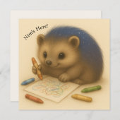 Nim Colors - individuell anpassbare Comfort-Serie (Vorne/Hinten)