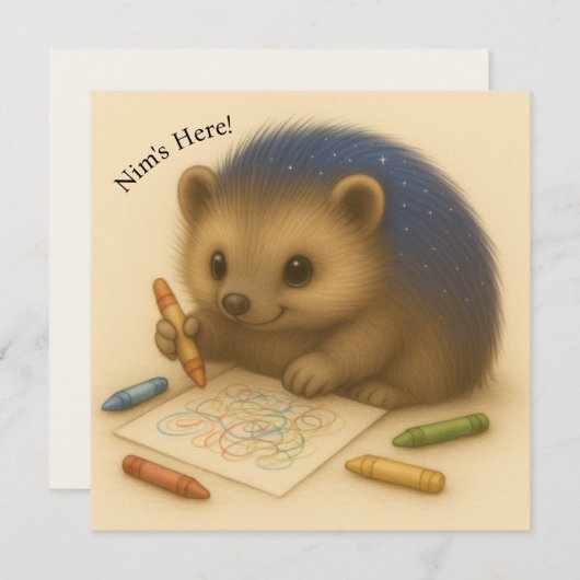 Nim Colors - individuell anpassbare Comfort-Serie (Vorne/Hinten)