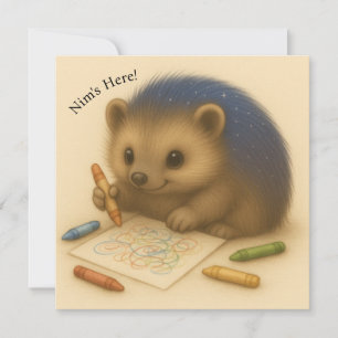 Nim Colors - individuell anpassbare Comfort-Serie