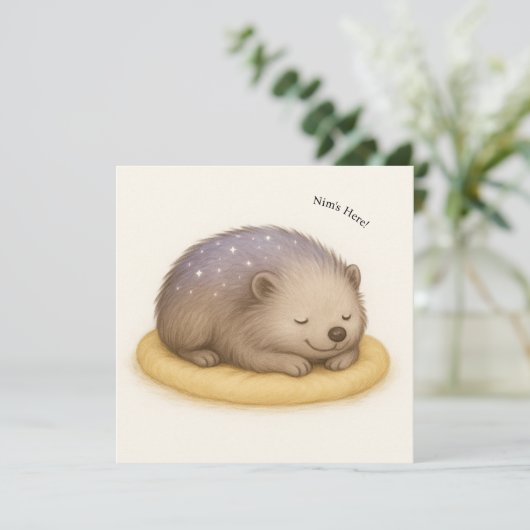 Nim Sleeps individuell anpassbare Comfort-Serienka (Stehend Vorderseite)