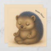 Nim vermittelt individuell anpassbare Comfort-Kart (Vorne/Hinten)